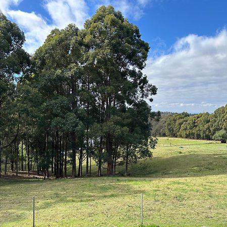 Blueberry Hills On Comleroy Farmstay - Self-Contained Cottages Kurrajong Kültér fotó