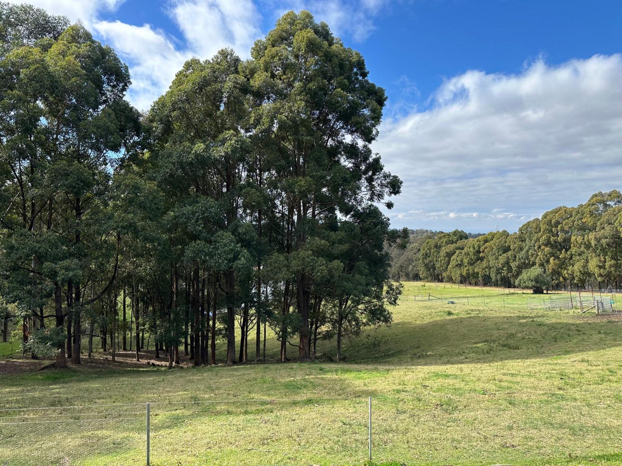 Blueberry Hills On Comleroy Farmstay - Self-Contained Cottages Kurrajong Kültér fotó