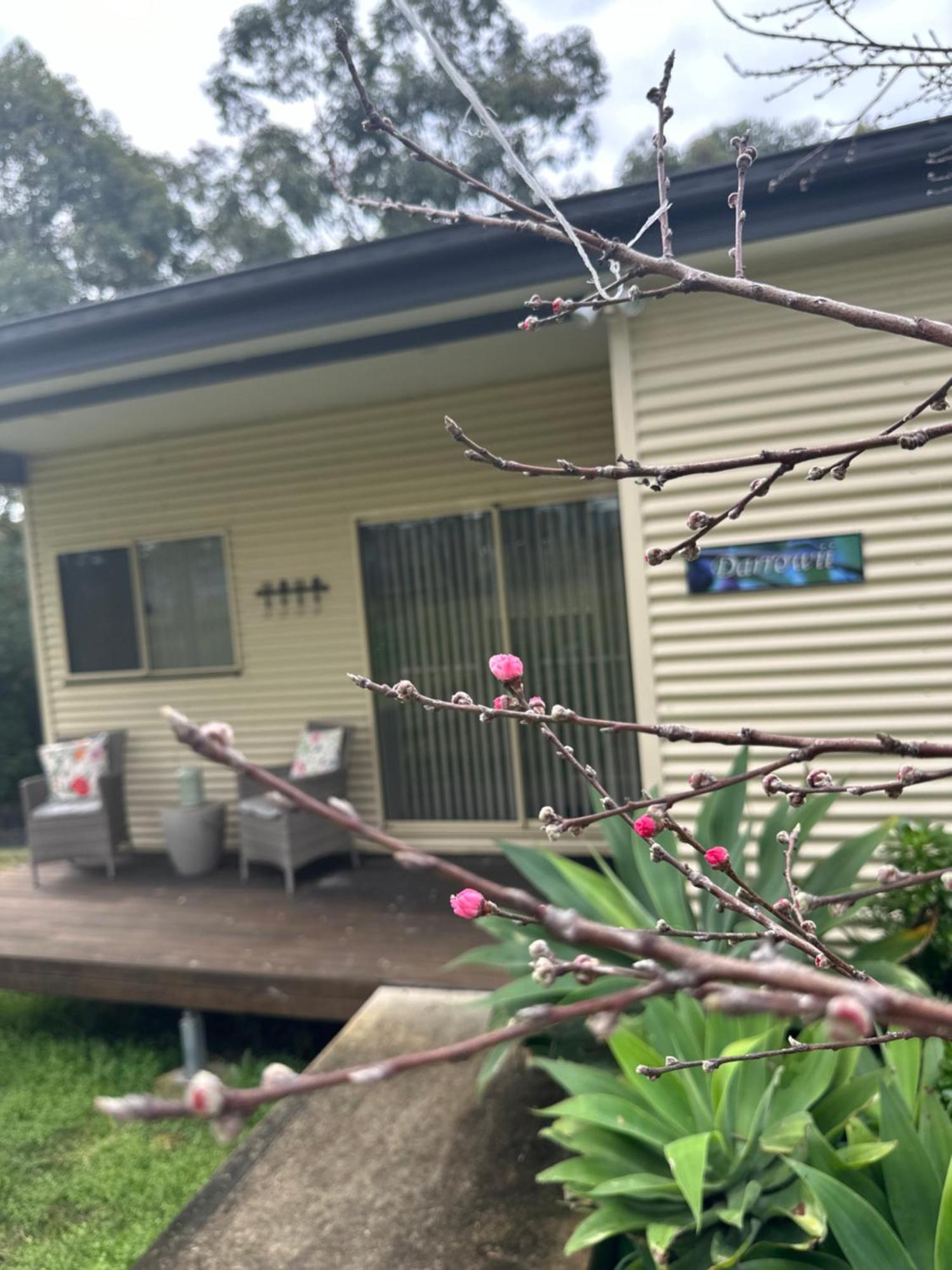 Blueberry Hills On Comleroy Farmstay - Self-Contained Cottages Kurrajong Kültér fotó