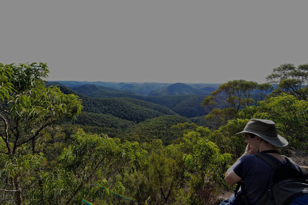 Blueberry Hills On Comleroy Farmstay - Self-Contained Cottages Kurrajong Kültér fotó