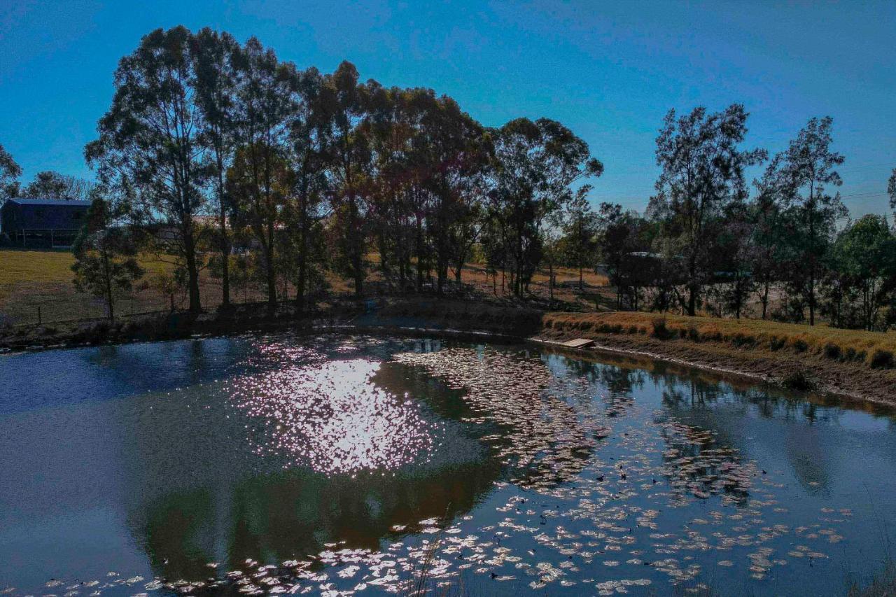 Blueberry Hills On Comleroy Farmstay - Self-Contained Cottages Kurrajong Kültér fotó