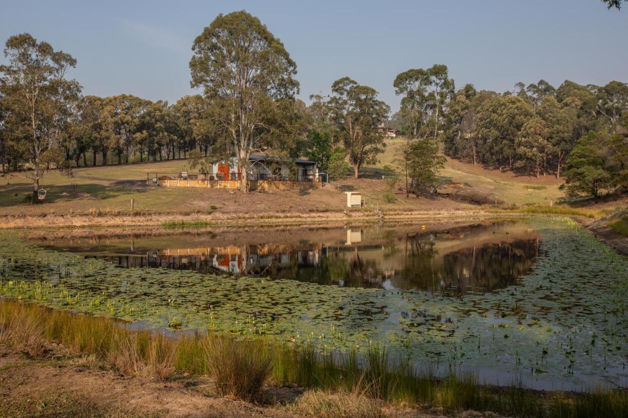 Blueberry Hills On Comleroy Farmstay - Self-Contained Cottages Kurrajong Kültér fotó